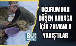 Uçurumdan Düşen Karaca İçin Zamanla Yarıştılar