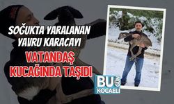 Soğukta Yaralanan Yavru Karacayı Vatandaş Kucağında Taşıdı