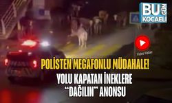Polisten Megafonlu Müdahale! Yolu Kapatan İneklere “Dağılın” Anonsu