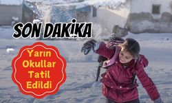 Son Dakika: Yarın Okullar Tatil Edildi