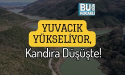 Yuvacık Yükseliyor, Kandıra Düşüşte!