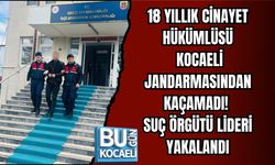 18 YILLIK CİNAYET HÜKÜMLÜSÜ KOCAELİ JANDARMASINDAN KAÇAMADI! SUÇ ÖRGÜTÜ LİDERİ YAKALANDI