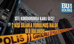 SİTE KORİDORUNDA KANLI GECE: 2 KİŞİ SİLAHLA VURULMUŞ HALDE ÖLÜ BULUNDU