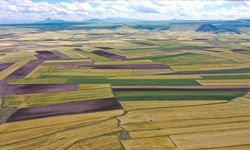 ARSA VE TARLA SATIŞLARI 2025'TE 1,6 MİLYONU AŞTI