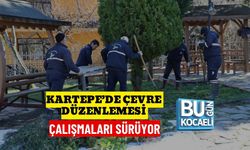 KARTEPE’DE ÇEVRE DÜZENLEMESİ ÇALIŞMALARI SÜRÜYOR