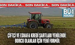 ÇİFTÇİ VE ESNAFA KREDİ ŞARTLARI YENİLENDİ: BORCU OLANLAR İÇİN YENİ FORMÜL