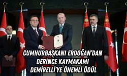 CUMHURBAŞKANI ERDOĞAN’DAN DERİNCE KAYMAKAMI DEMİRELLİ’YE ÖNEMLİ ÖDÜL