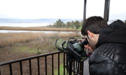 3. Flamingo Şenliği’nde Doğa ve Bilim Bir Araya Geldi