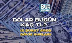 DOLAR BUGÜN KAÇ TL? 12 ŞUBAT 2026 DÖVİZ KURLARI
