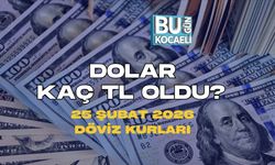 DOLAR KAÇ TL OLDU? 25 ŞUBAT 2026 DÖVİZ KURLARI