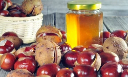 KOMŞUNUN KESTANE BALI ÖDÜL GETİRDİ!