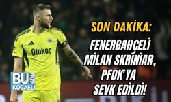 SON DAKİKA: Fenerbahçeli Milan Skriniar, PFDK'ya Sevk Edildi!