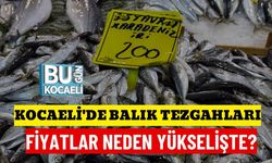 KOCAELİ'DE BALIK TEZGAHLARI: FİYATLAR NEDEN YÜKSELİŞTE?