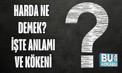 HARDA NE DEMEK? İŞTE ANLAMI VE KÖKENİ