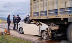 TIRIN DORSESİNE OK GİBİ SAPLANDI: 2 KİŞİ CAN VERDİ