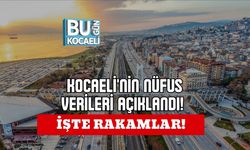 KOCAELİ'NİN NÜFUS VERİLERİ AÇIKLANDI! İŞTE RAKAMLAR!