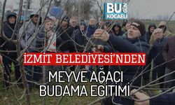 İZMİT BELEDİYESİ’NDEN MEYVE AĞACI BUDAMA EĞİTİMİ