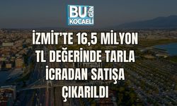İzmit’te 16,5 Milyon TL Değerinde Tarla İcradan Satışa Çıkarıldı