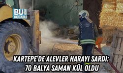 KARTEPE’DE ALEVLER HARAYI SARDI: 70 BALYA SAMAN KÜL OLDU
