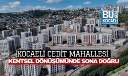 KOCAELİ CEDİT MAHALLESİ KENTSEL DÖNÜŞÜMÜNDE SONA DOĞRU