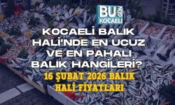 KOCAELİ BALIK HALİ’NDE EN UCUZ VE EN PAHALI BALIK HANGİLERİ? 16 ŞUBAT 2026 BALIK HALİ FİYATLARI