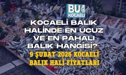 KOCAELİ BALIK HALİNDE EN UCUZ VE EN PAHALI BALIK HANGİSİ? 9 ŞUBAT 2026 KOCAELİ BALIK HALİ FİYATLARI