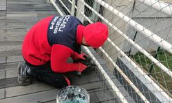 KOCAELİ BÜYÜKŞEHİR BELEDİYESİ’NDEN ŞEHİR HASTANESİ ÜSTGEÇİDİNDE KAPSAMLI BAKIM