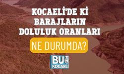KOCAELİ'DE Kİ BARAJLARIN DOLULUK ORANLARI NE DURUMDA?