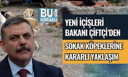 YENİ İÇİŞLERİ BAKANI ÇİTÇİ’DEN SOKAK KÖPEKLERİNE KARARLI YAKLAŞIM