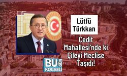 Lütfü Türkkan Cedit Mahallesi'nde ki Çileyi Meclise Taşıdı!
