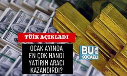 TÜİK AÇIKLADI: OCAK AYINDA EN ÇOK HANGİ YATIRIM ARACI KAZANDIRDI?