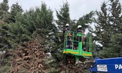 KARTEPE’DE MEZARLIKLARDA VE MEYDANLARA YOĞUN BAKIM
