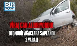 VİRAJ CAN ALDIRIYORDU! OTOMOBİL AĞAÇLARA SAPLANDI: 3 YARALI