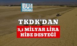 TKDK'dan 3,1 Milyar Lira Hibe Desteği
