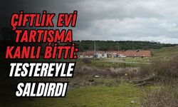 ÇİFTLİK EVİ TARTIŞMA KANLI BİTTİ: TESTEREYLE SALDIRDI