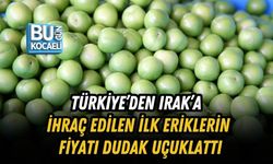 TÜRKİYE’DEN IRAK’A İHRAÇ EDİLEN İLK ERİKLERİN FİYATI DUDAK UÇUKLATTI