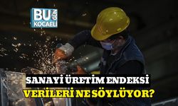 SANAYİ ÜRETİM ENDEKSİ VERİLERİ NE SÖYLÜYOR?