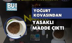 YOĞURT KOVASINDAN YASAKLI MADDE ÇIKTI