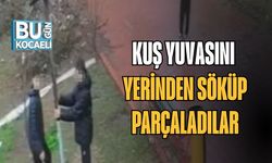 Kuş Yuvasını Yerinden Söküp Parçaladılar