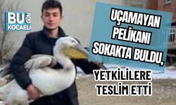 Uçamayan Pelikanı Sokakta Buldu, Yetkililere Teslim Etti