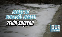 GEBZE'DE KOCAGÖL DERESİ ZEHİR SAÇIYOR