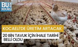KOCAELİ’DE ÜRETİM ARTACAK: 20 BİN TAVUK İÇİN İHALE TARİHİ BELLİ OLDU