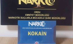 ORDU’DA UYUŞTURUCU OPERASYONU: 2 ŞÜPHELİ TUTUKLANDI