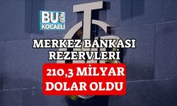 MERKEZ BANKASI REZERVLERİ 210,3 MİLYAR DOLAR OLDU