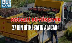 KOCAELİ BÜYÜKŞEHİR 27 BİN BİTKİ SATIN ALACAK