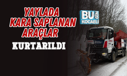 YAYLADA KARA SAPLANAN ARAÇLAR KURTARILDI