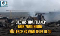 DİLOVASI’NDA FELAKET: AHIR YANGININDA YÜZLERCE HAYVAN TELEF OLDU