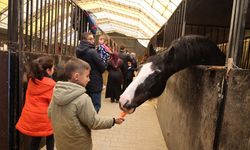 KOCAELİ BÜYÜKŞEHİR’DEN ANLAMLI PROJE: 230 ÇOCUK AT BİNİCİLİĞİYLE TANIŞTI