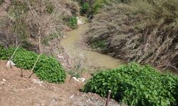 4 YAŞINDAKİ ABDULLAH DERDE CAN VERDİ! ACI BABADAN YÜREK YAKAN SÖZLER