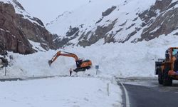 VAN-HAKKARİ YOLUNDA ÇIĞ FELAKETİ! ARAÇLAR MAHSUR KALDI, ULAŞIM DURDU